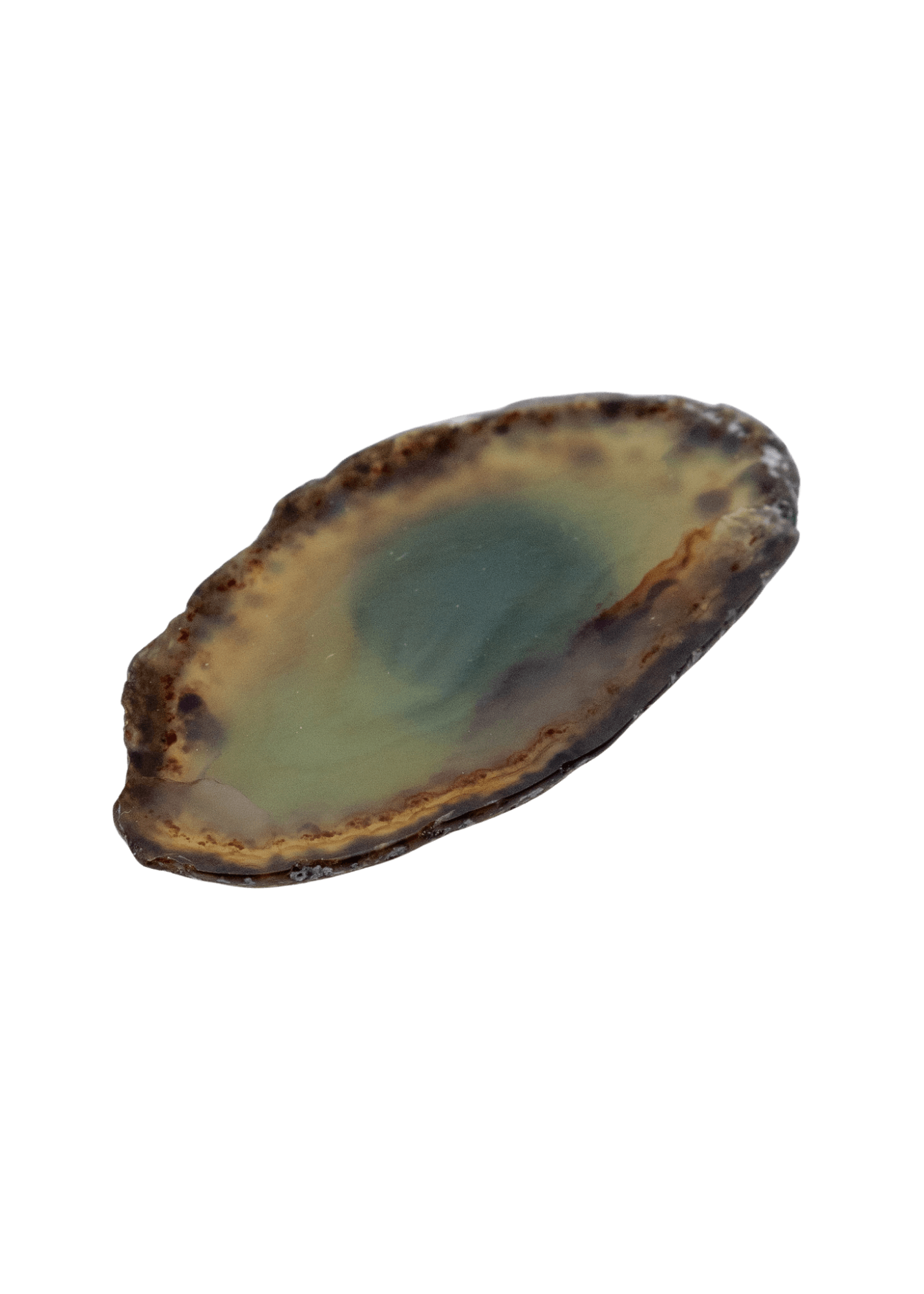 Agate Slice Crystal Fridge Magnet